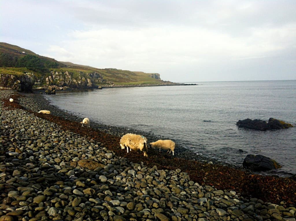 Lower Milovaig Isle of Skye Weekend