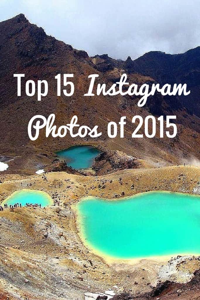 Top 15 Instagram photos of 2015 migrating miss