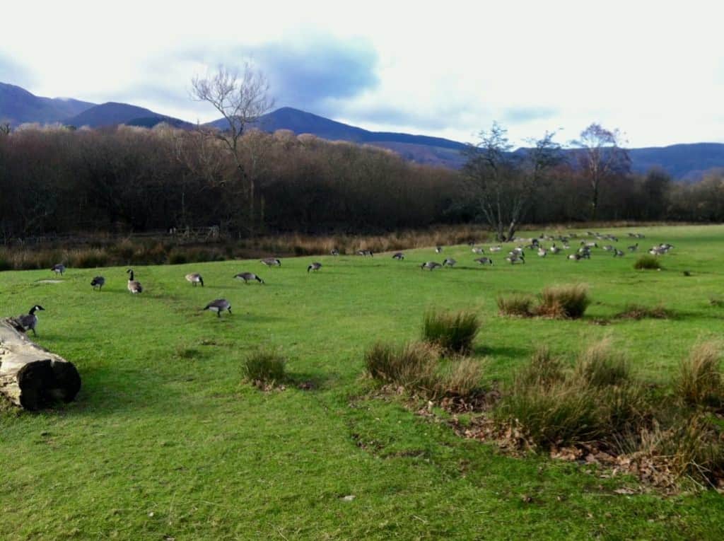 keswick lake district winter january