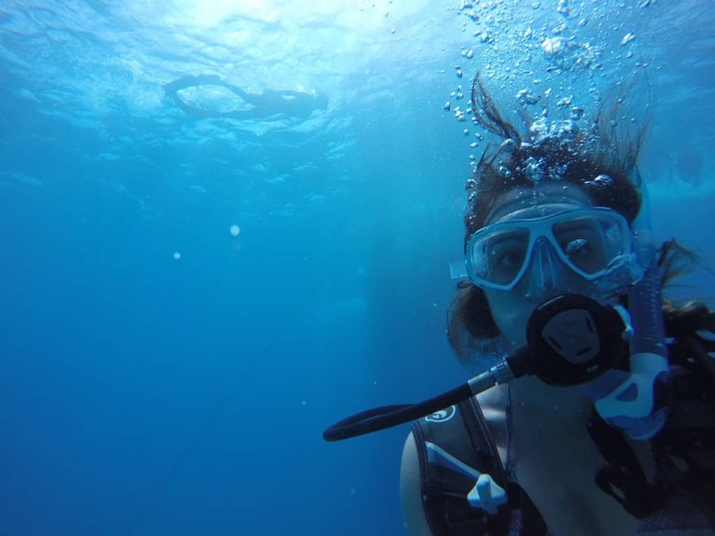 Diving Great Barrier Reef Australia