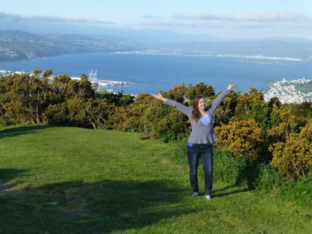 Wellington Best Expat City