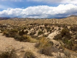 Tabernas Desert Visit Almeria