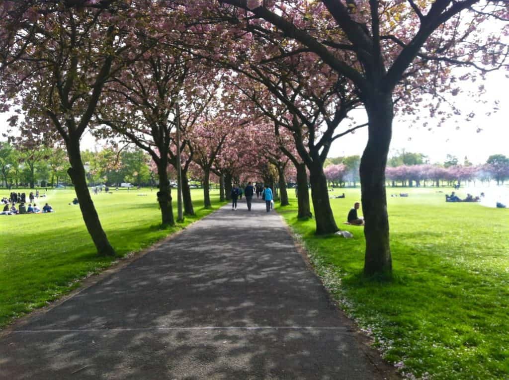 The meadows top things to see in Edinburgh