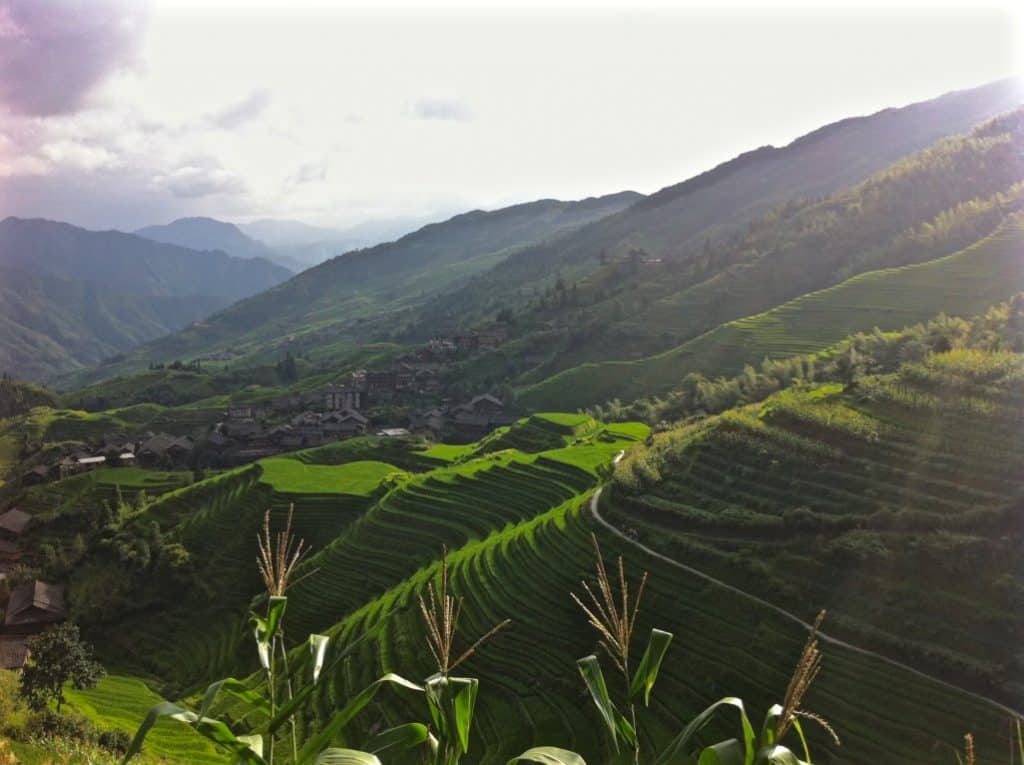 Walking rice terraces china Ping'an Longji Rice Terraces