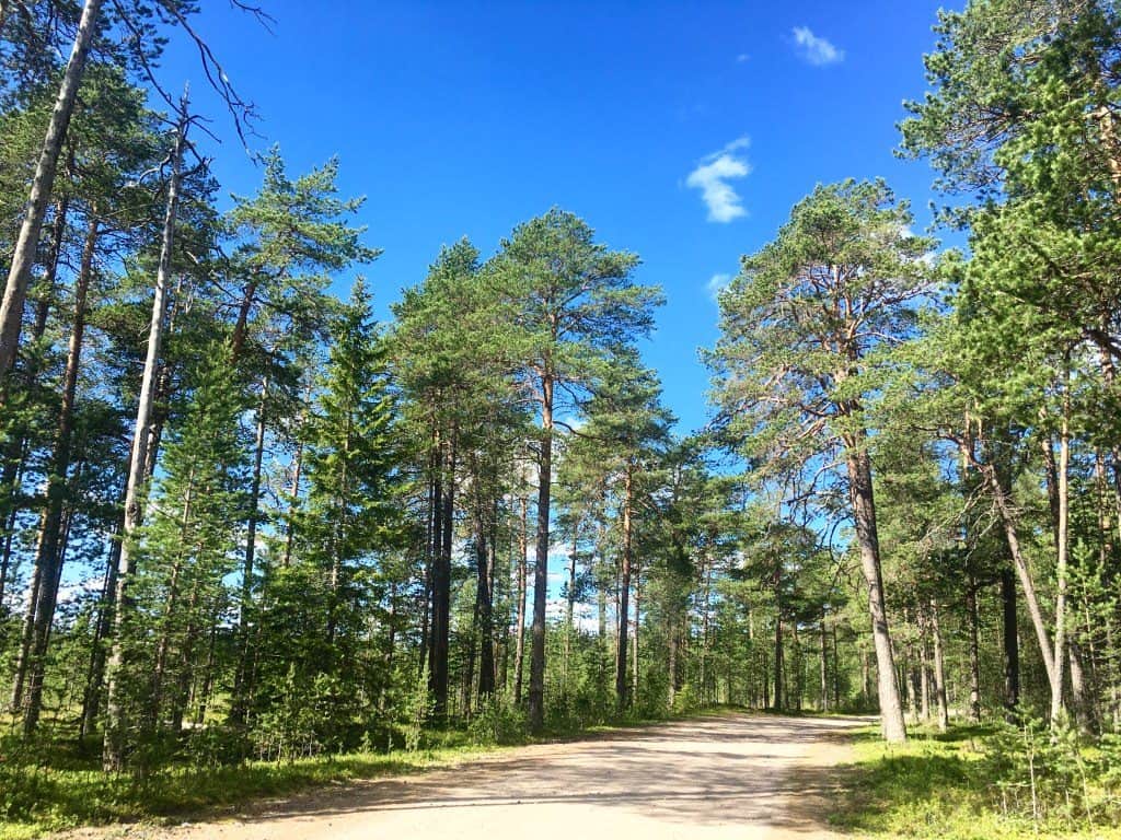 Tree Hotel Lulea Sweden