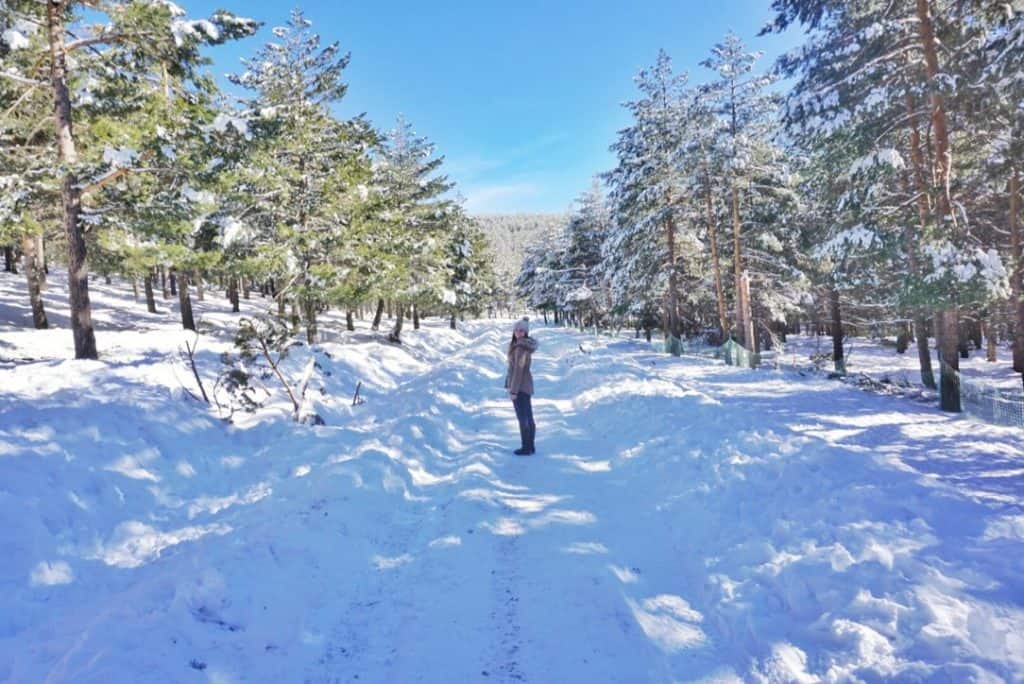 Sierra Nevada Snow near Almeria