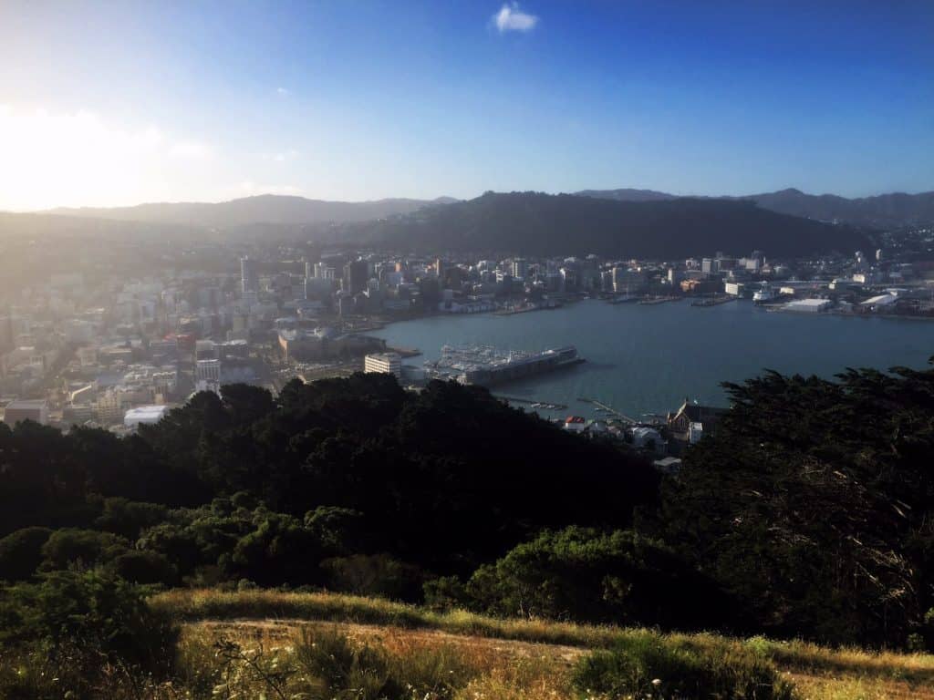 Expat Interview Moving to Wellington New Zealand