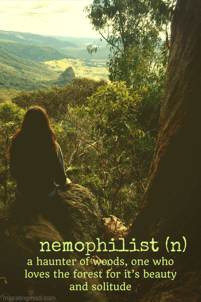 unusual travel words - nemophilist