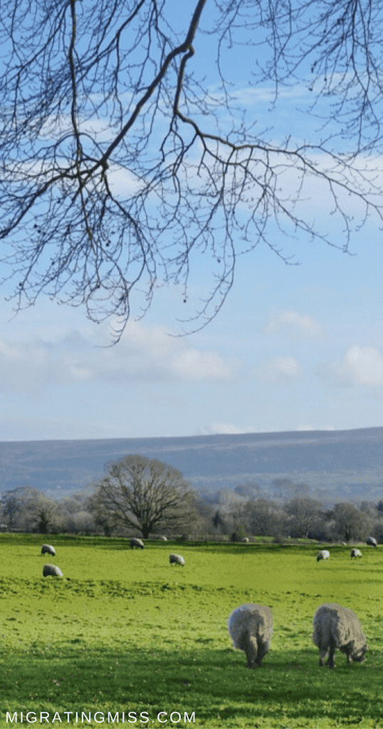 Visit the English Countryside Ilkley, Yorkshire, United Kingdom