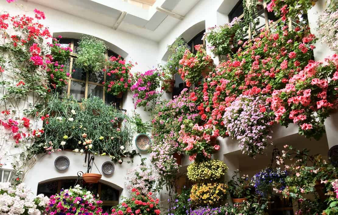 Los Patios Festival Courtyard Cordoba Europe in Spring