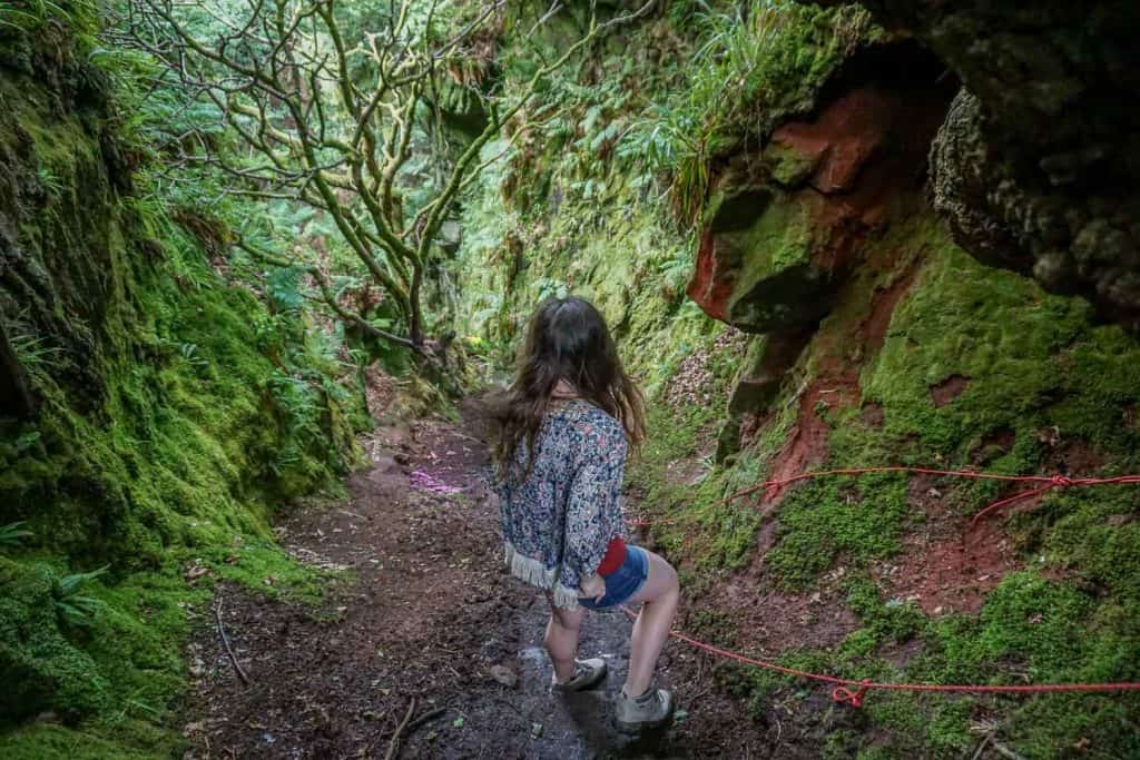 Devils Pulpit Finnich Glen Scotland-101