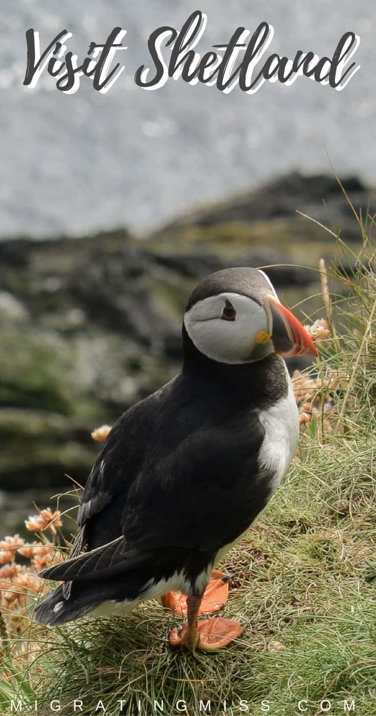 11 Reasons Why You Must Add Shetland to Your Scotland Itinerary