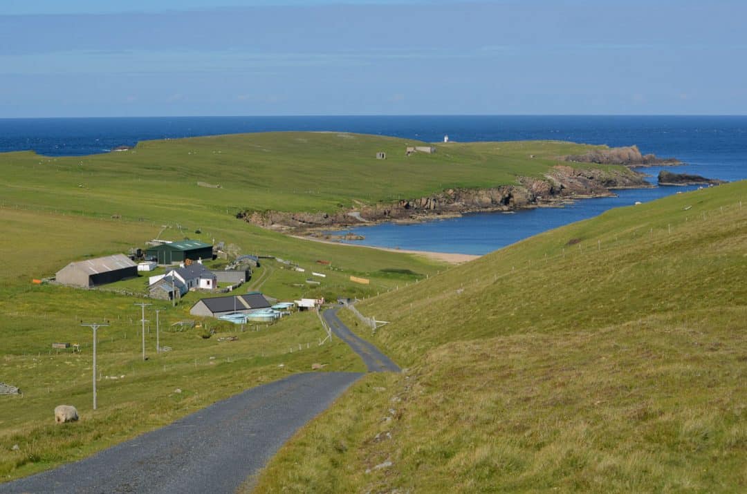 11 Reasons Why You Must Add Shetland to Your Scotland Itinerary
