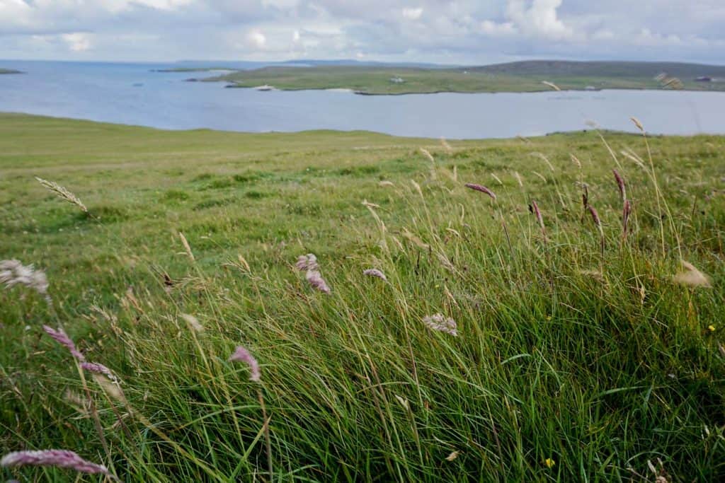 Visit Unst - Top Things to Do