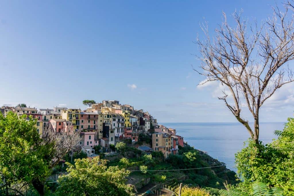 Hiking in Cinque Terre