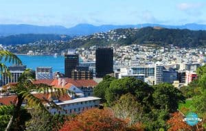 Moving to Wellington, New Zealand