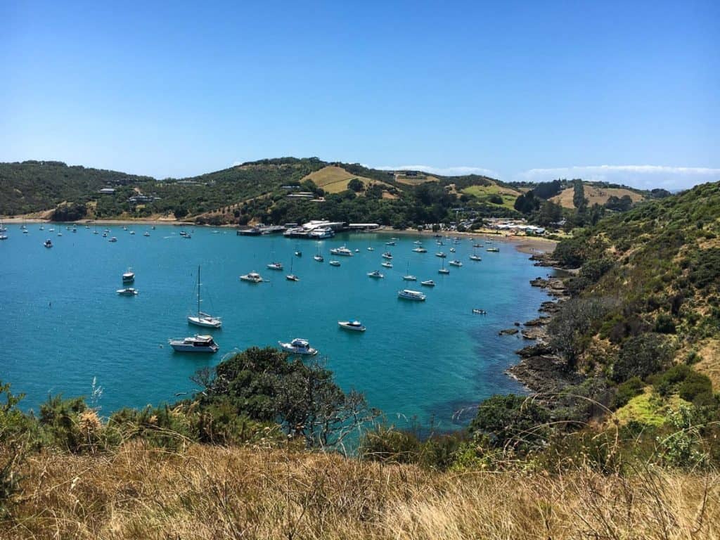 2 days in Auckland New Zealand - Waiheke Island