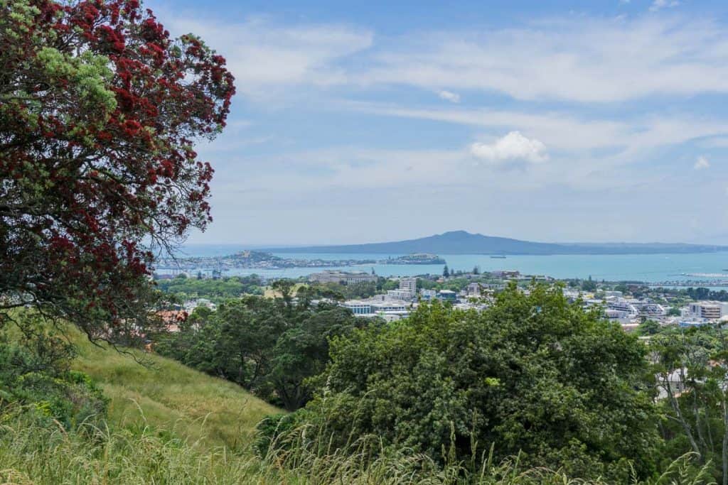 Planning a New Zealand trip: Rangitoto Island from Mount Eden