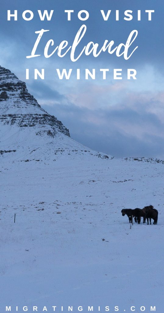 Iceland in winter - Everything you need to know about visiting Iceland in winter!