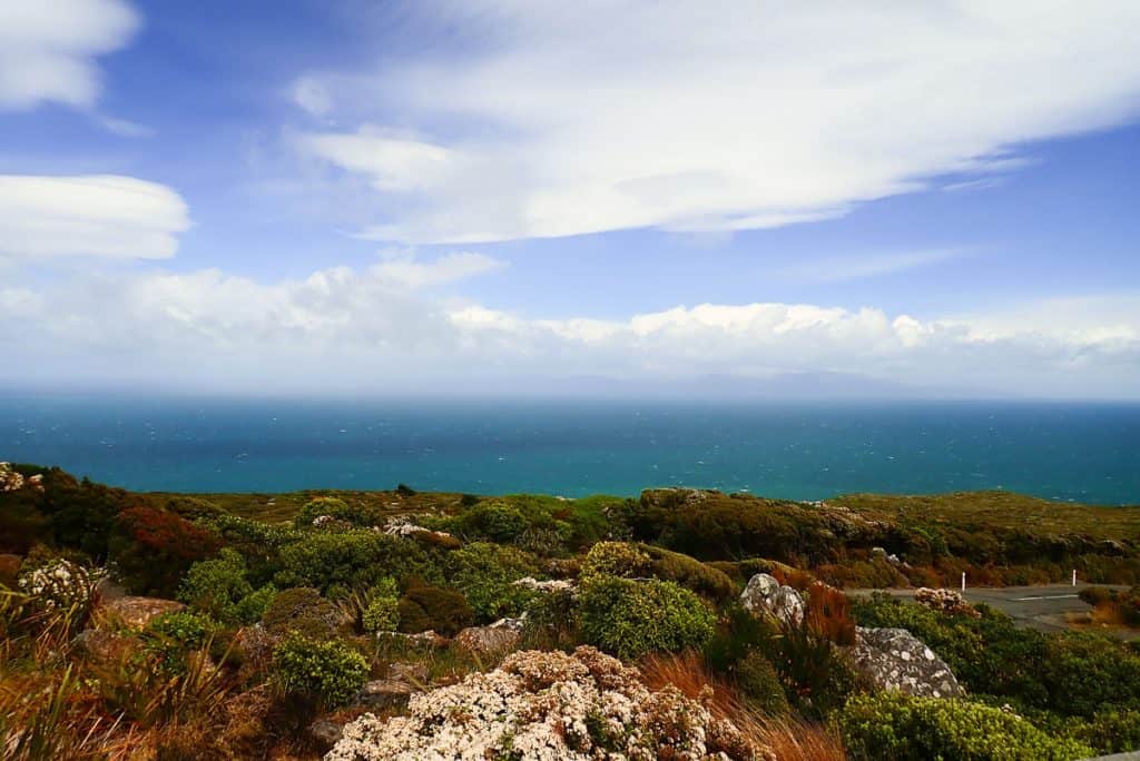 New Zealand Holiday Destinations - Stewart Island