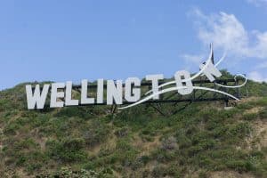 Free Things to Do in Wellington