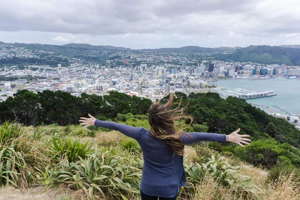 Planning a New Zealand Trip - View from Mount Victoria Wellington on a windy day