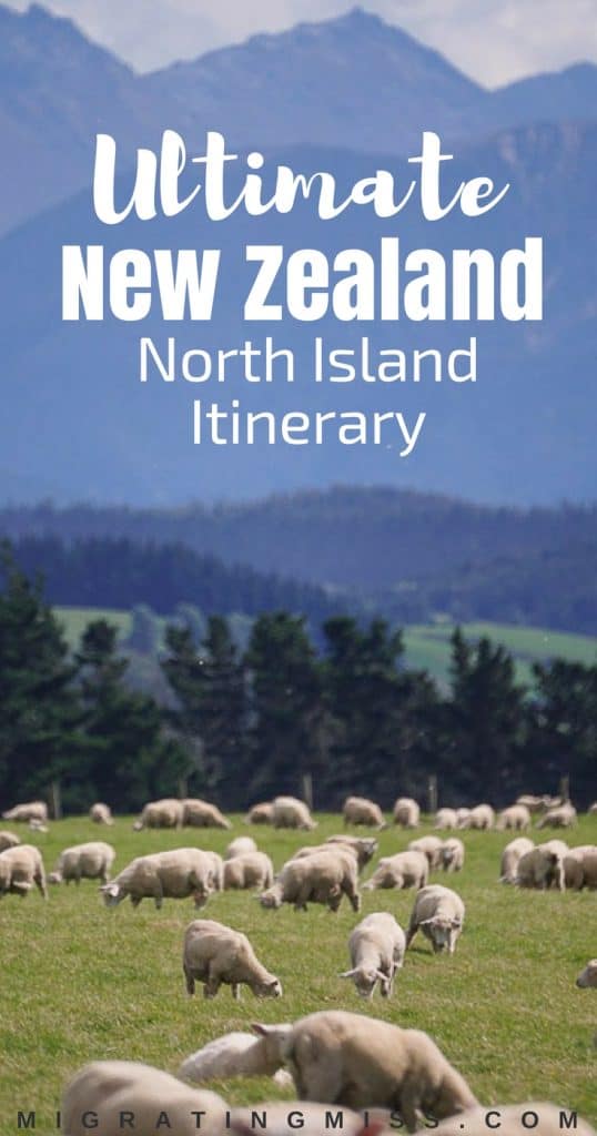 How to Plan a New Zealand North Island Itinerary - All the best places to go, things to do, and epic itinerary ideas for the North Island. 