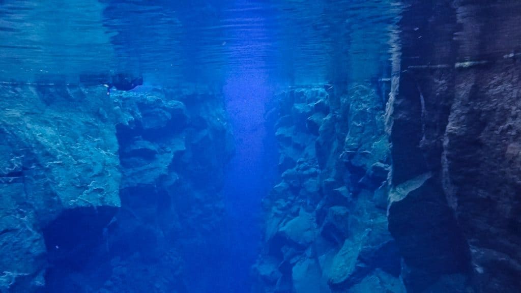 Snorkelling in Iceland