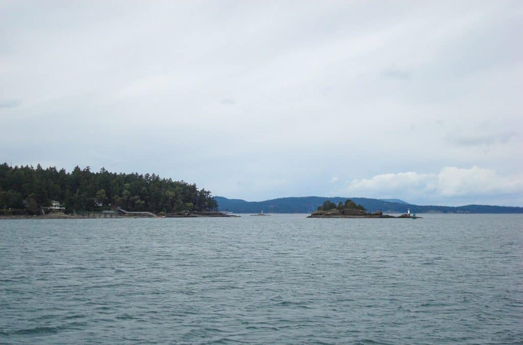 Whale Watching Salt Spring Island