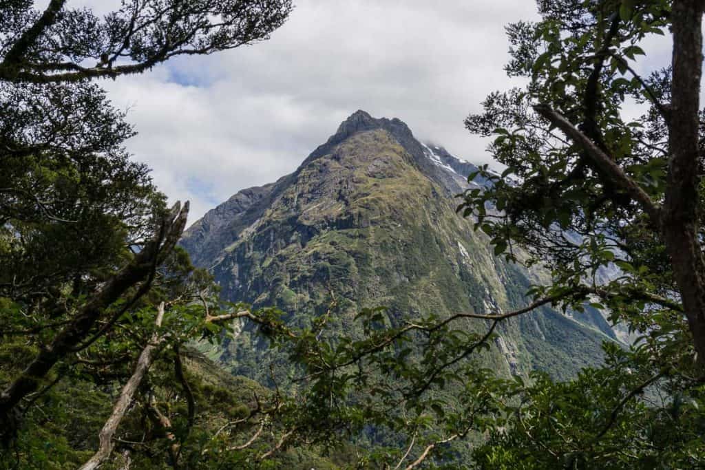 Key Summit Track - Fiordland Hiking and Tramping