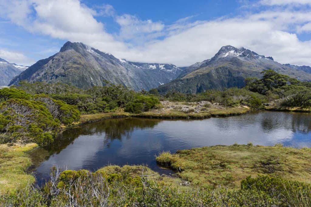 Key Summit Track - Fiordland Hiking and Tramping