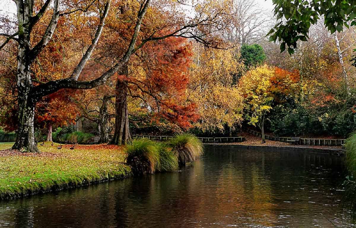 The Garden City: What to do in Christchurch, New Zealand - Migrating Miss