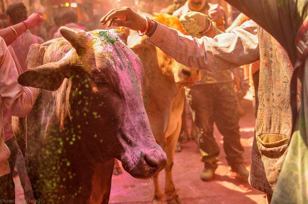 Holi - Beautiful Places in India