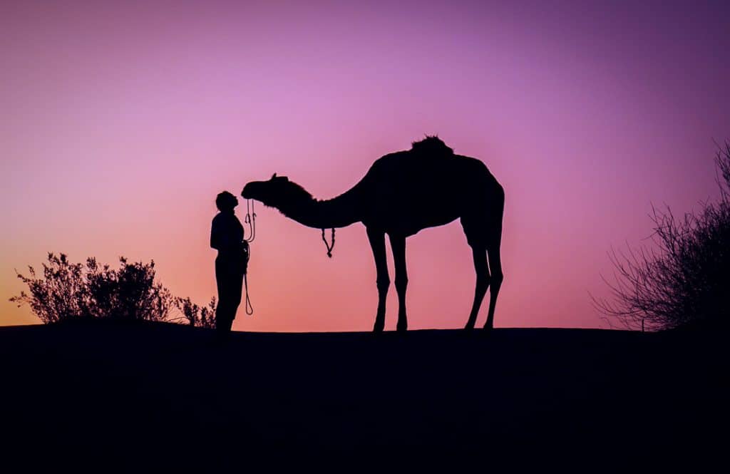 Jaisalmer - Beautiful Places in India