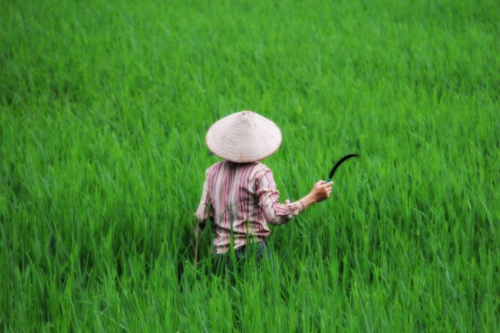 Mai Chau - Beautiful Places in Vietnam