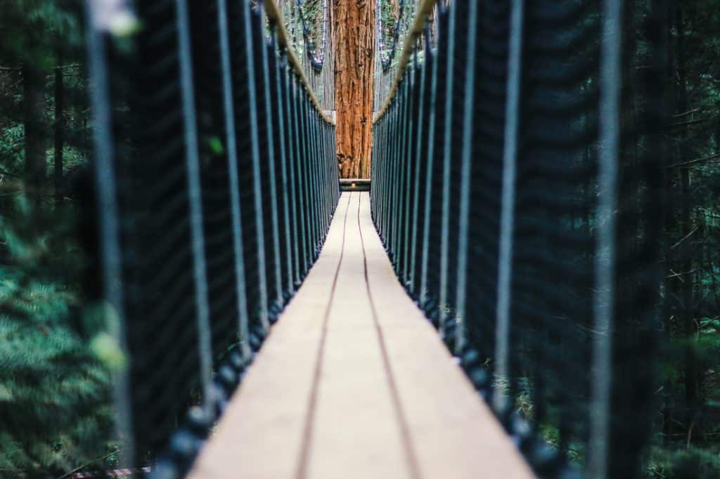 Things to do in Rotorua - Whakarewarewa Redwoods