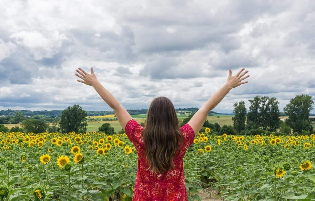 Points of Interest in the Dordogne: Sunflower Fields