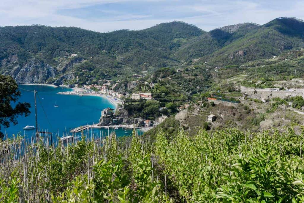 Cinque Terre Photos: Monterosso