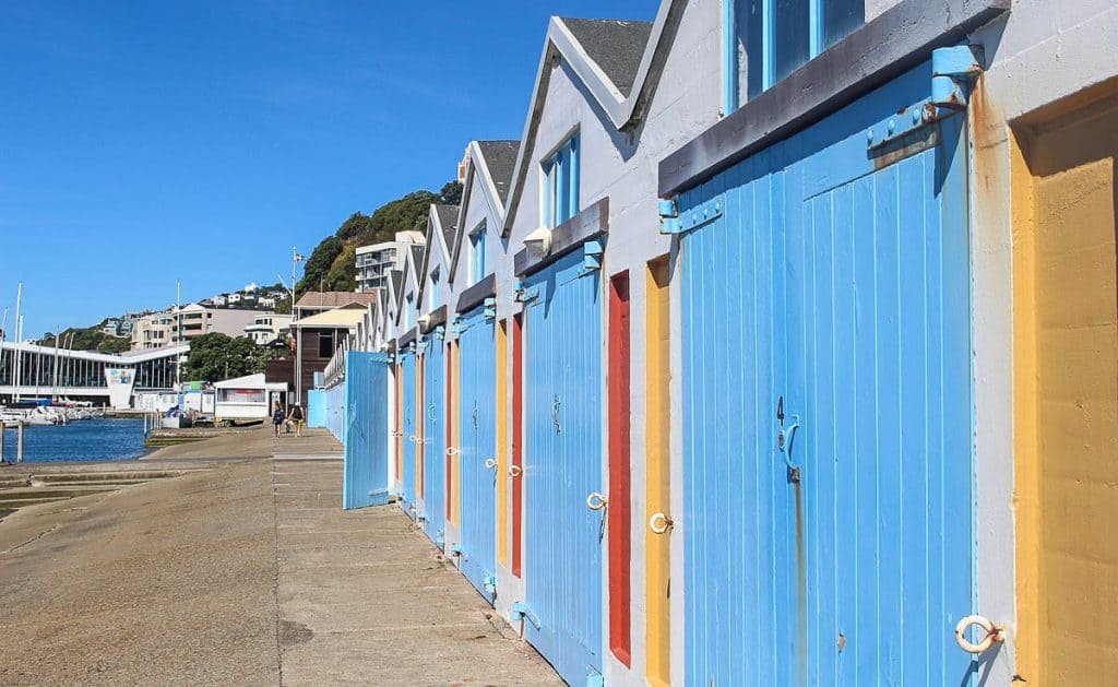 Free things to do in Wellington - Oriental Parade