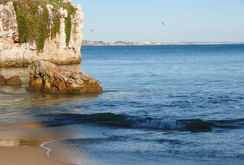 Day Trips from Lisbon - Estoril