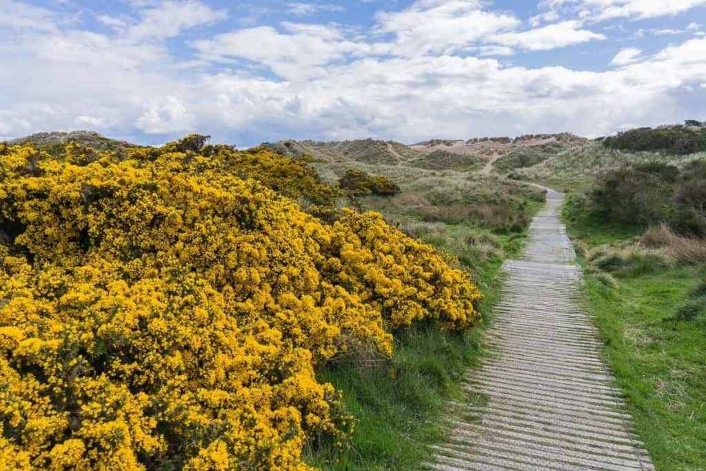 When to drive the North East 250 - Paths at Balmedie