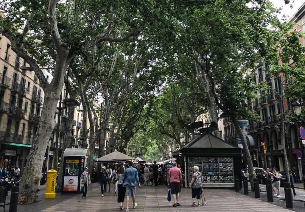Barcelona - Tree lined street
