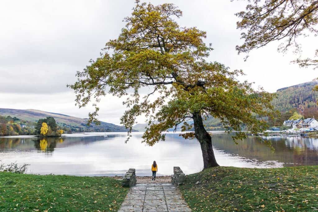 Loch Tay - Autumn tree next to loch with person under it