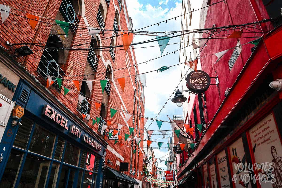 Moving to Dublin - Dublin Street flags