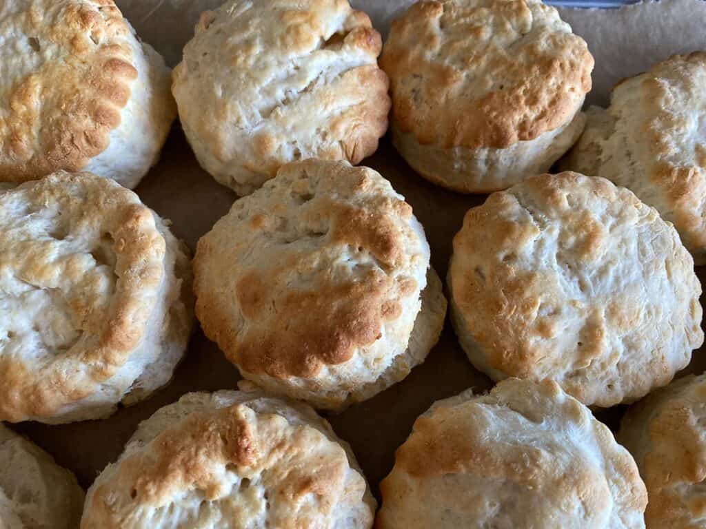 Scone Recipe - scones on a tray