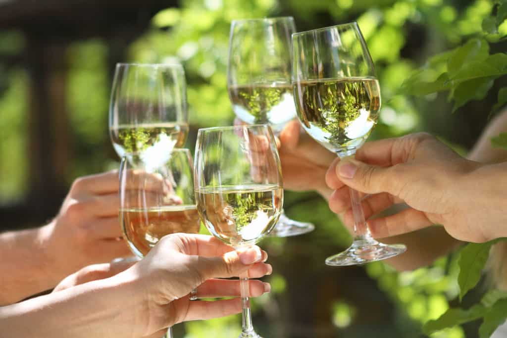 Beer Gardens in Edinburgh - People holding glasses of white wine making a toast