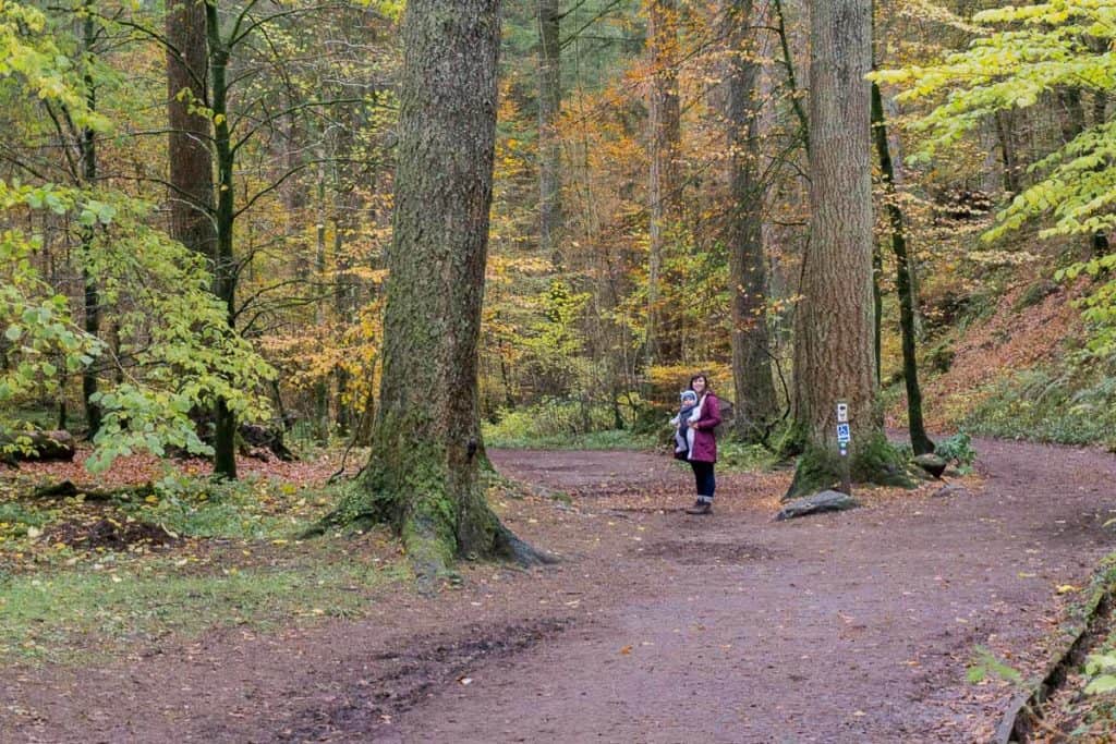 The Hermitage - Perthshire things to do with kids