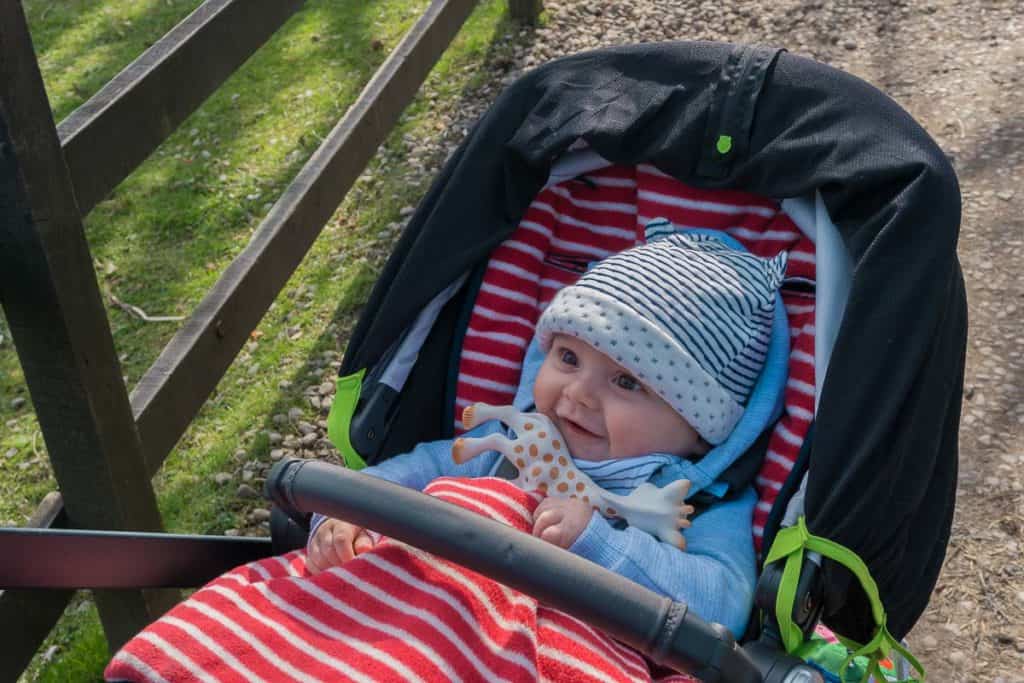 Things to Do in Perthshire with Kids - Baby in buggy