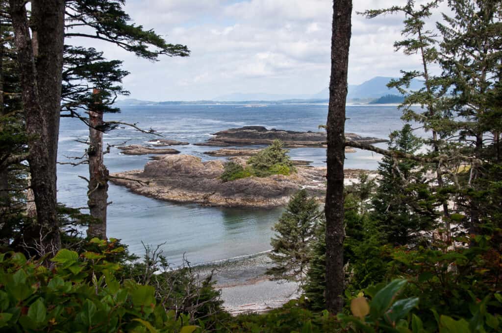 Things to do in Tofino, Vancouver Island - beach through the trees