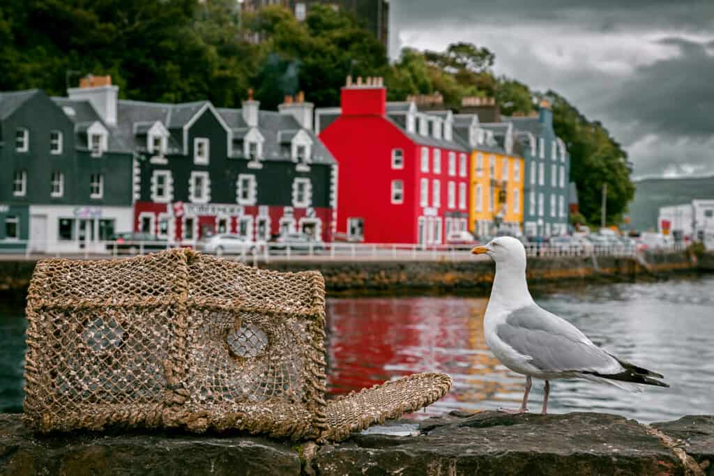 Tobermory Isle of Mull - Things to do in Oban Scotland